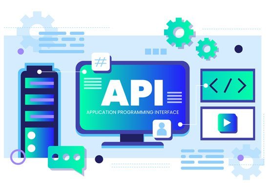 website designing company in Himachal